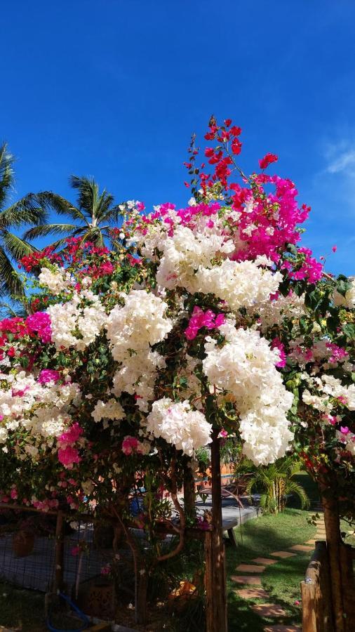 Pousada Flor de Lena- suíte Lírio -Icaraizinho Exterior foto